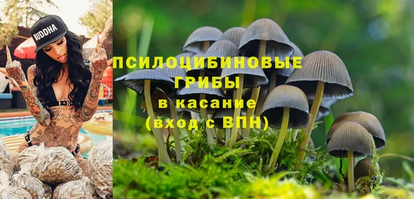 крисы Алексеевка