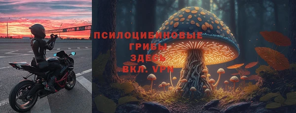 крисы Алексеевка