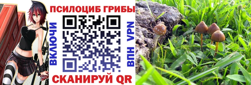 кракен зеркало  Полысаево  Галлюциногенные грибы ЛСД  купить наркотик 